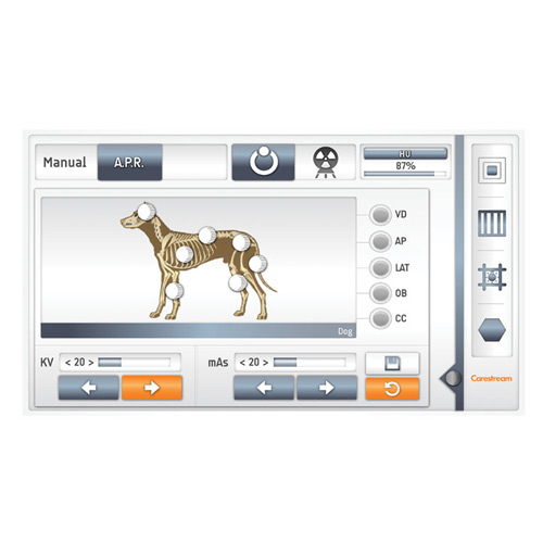 Sistema radiologico veterinario VXR